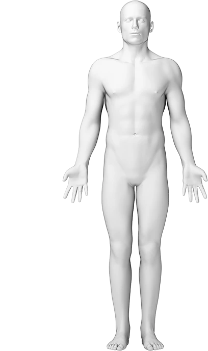 인체 전면 부위 다이어그램